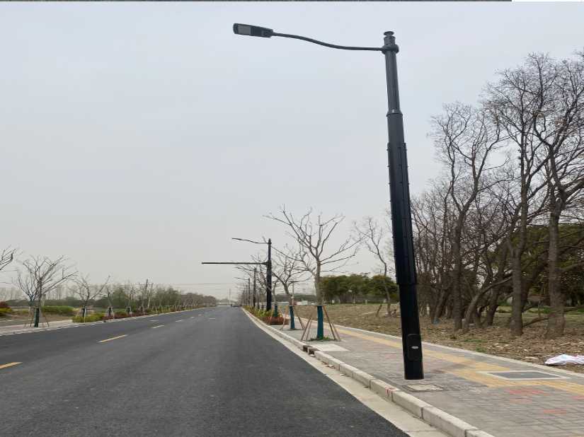 德惠市上海综合杆 太阳能路灯工程